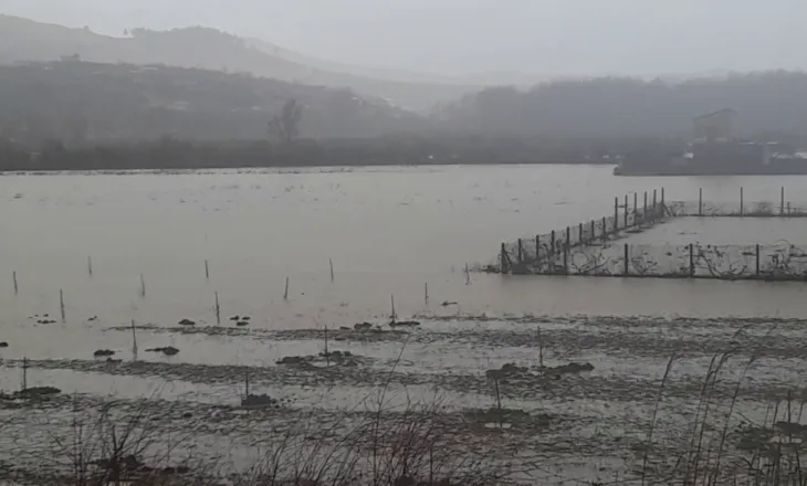 Moti i keq/ 10 fshatra pa energji elektrike në Berat, Osumi përmbyt dhjetra hektarë