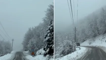 Moti i keq, Korça përfshihet nga reshjet e dëborë, ndërprerje energjie në disa fshatra