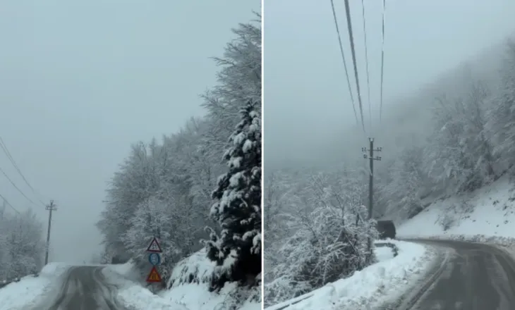 Moti i keq, Korça përfshihet nga reshjet e dëborë, ndërprerje energjie në disa fshatra