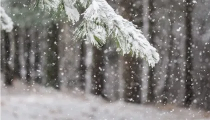Moti i keq ‘mbërthen’ vendin, Instituti i Gjeoshkencave paralajmëron: Në zonat malore të qarkut të Vlorës priten reshje dëbore