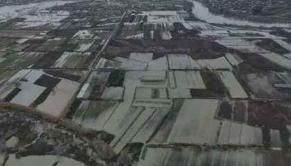 Moti i keq, përmbyten qindra hektarë tokë në Shkodër, pritet ndërprerje e energjisë elektrike në disa zona