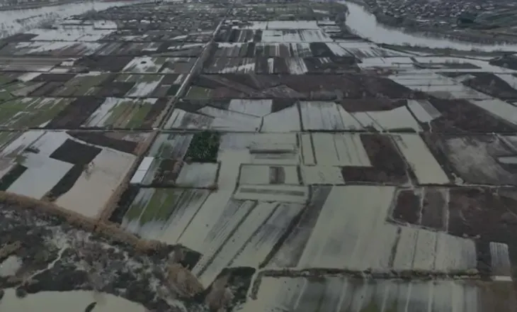 Moti i keq, përmbyten qindra hektarë tokë në Shkodër, pritet ndërprerje e energjisë elektrike në disa zona