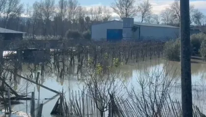 Moti i keq, situatë problematike në 7 qarqe