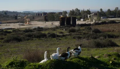 Nafta që ‘vret’: Patos-Marinza shpërthen në sëmundje malinje