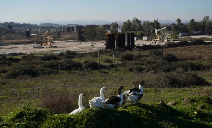 Nafta që ‘vret’: Patos-Marinza shpërthen në sëmundje malinje