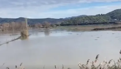 ‘Narko-ministrat jo vetëm nuk ndihmojnë banorët, por fshehin përmbytjen’, Berisha publikon denoncimin nga Rrogozhina