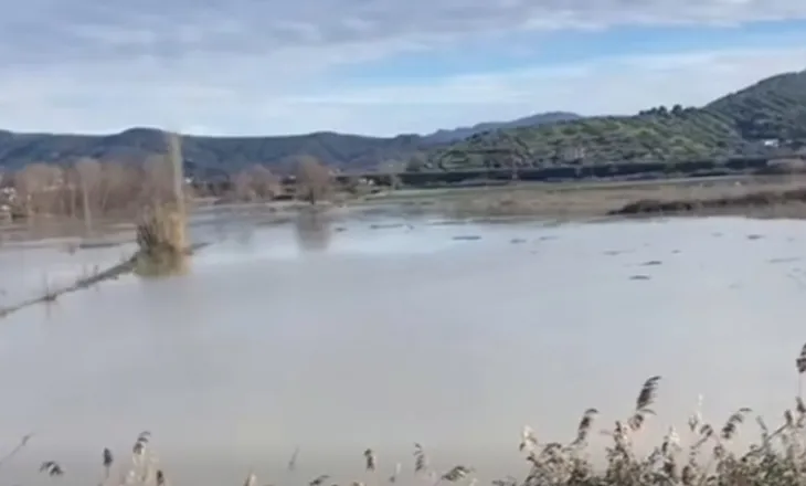 ‘Narko-ministrat jo vetëm nuk ndihmojnë banorët, por fshehin përmbytjen’, Berisha publikon denoncimin nga Rrogozhina