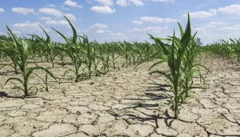 Ndryshimet klimatike rrezikojnë bujqësinë/ Deri në 17 miliardë dollarë humbje për Shqipërinë deri në vitin 2050