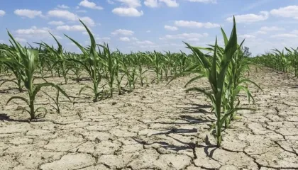 Ndryshimet klimatike rrezikojnë bujqësinë/ Deri në 17 miliardë dollarë humbje për Shqipërinë deri në vitin 2050