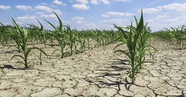 Ndryshimet klimatike rrezikojnë bujqësinë/ Deri në 17 miliardë dollarë humbje për Shqipërinë deri në vitin 2050