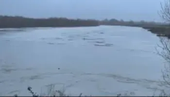 Në Fier 27 banesa nën pushtetin e ujit, Vjosa arrin pikën kritike, shkon në nivelin 9 metra