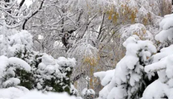 Në Peshkopi termometri regjistroi -11gradë celcius/ Sinoptikanët: Në mes të javës nis rritja e temperaturave