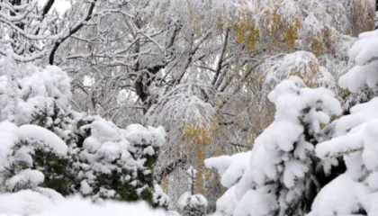 Në Peshkopi termometri regjistroi -11gradë celcius/ Sinoptikanët: Në mes të javës nis rritja e temperaturave