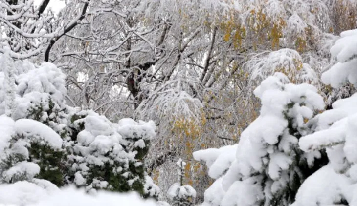Në Peshkopi termometri regjistroi -11gradë celcius/ Sinoptikanët: Në mes të javës nis rritja e temperaturave