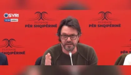Neritan Liçaj: Shqipëria nuk është vjedhur, është bastisur…