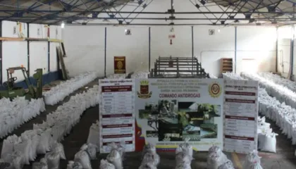 Nga kokaina e kapur në Aruba tek klanet e fuqishme mafioze, REL: Lidhjet e grupeve kriminale nga Ballkani me Venezuelën