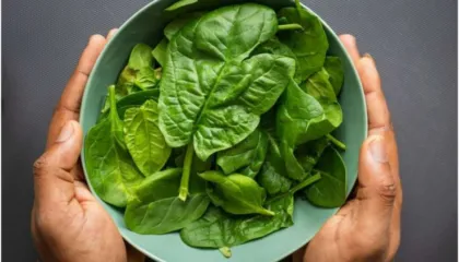 Nitratet nga uji rrisin rrezikun për demencë, perimet e ulin