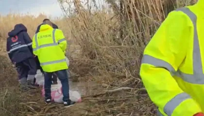 Niveli i ujit arrin kufirin maksimal të argjinaturës në Fier, banorët vendosin thasë me rërë për të shmangur përmbytjet. Bllokohet aksi i vjetër Levan-Vlorë