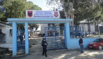 Njëri kërcënoi me sëpatë, tjetri i dëmtoi mjetin bujqësor, procedohen dy persona në Divjakë