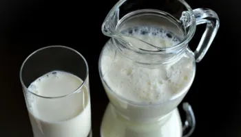 Nutricionistët zbulojnë përfitimet e qumështit për shëndetin tonë, sa më kremoz aq më mirë