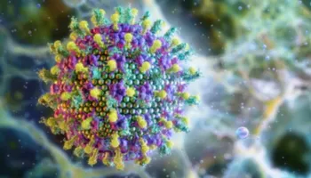 OBSH: Rreziku i përhapjes së virusit Nipah nga India është i ulët, pa shenja përhapjeje