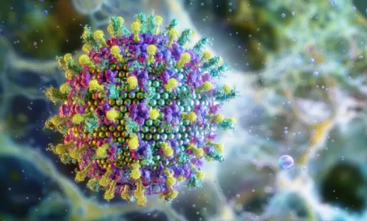 OBSH: Rreziku i përhapjes së virusit Nipah nga India është i ulët, pa shenja përhapjeje