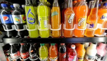 OBSH: Vendet duhet të rrisin taksat për pijet me sheqer dhe alkoolin për të frenuar sëmundjet e parandalueshme