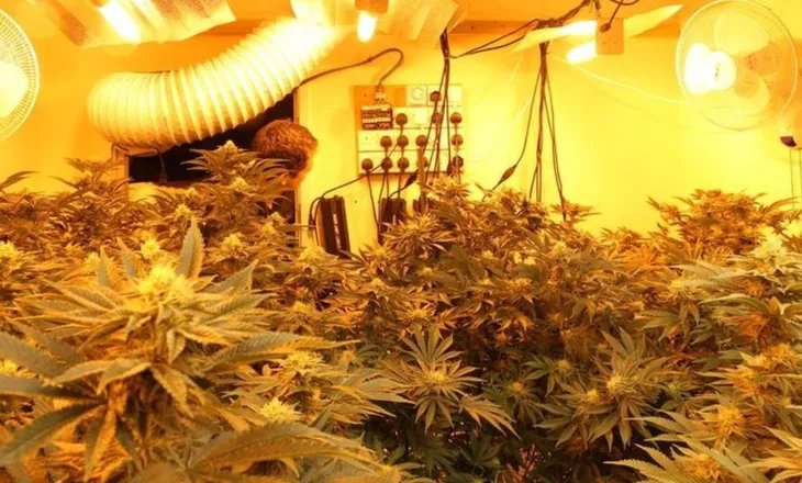 Operacion antidrogë në Lezhë, zbulohet “shtëpia bari”, disa të arrestuar