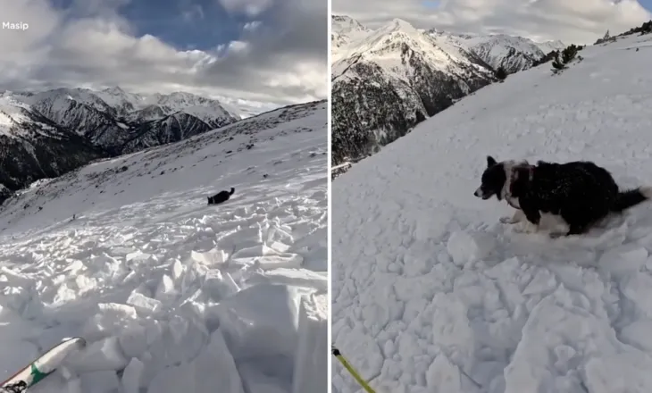 Ortek në Pirenej, skiatorja spanjolle dhe qeni i saj përjetojnë momente tmerri (VIDEO)
