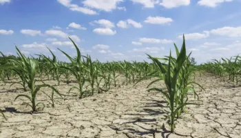 Pa masa, ndryshimet e klimës do të krijojnë 17 mld USD humbje në bujqësi