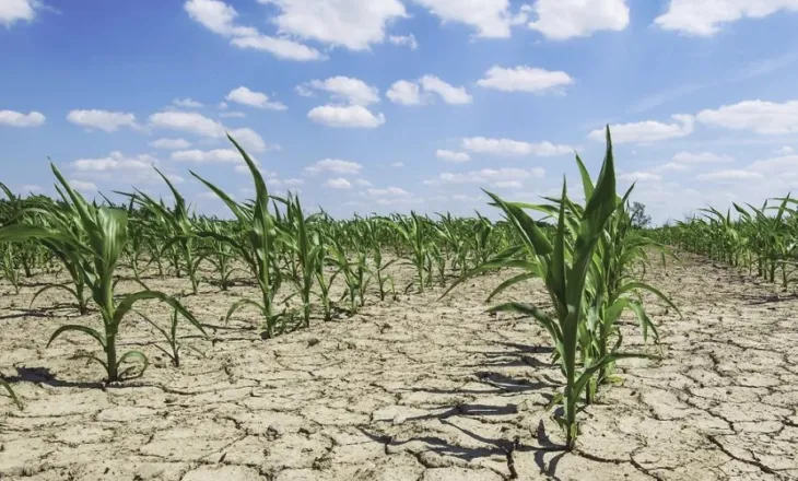 Pa masa, ndryshimet e klimës do të krijojnë 17 mld USD humbje në bujqësi
