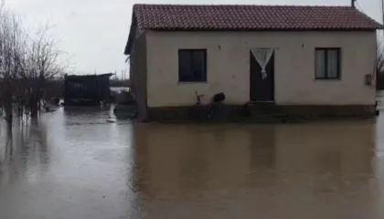 Pakësohen reshjet në Lezhë e Kurbin, evakuohen 8 familje, 150 banesa të rrethuara nga uji