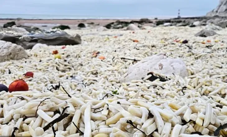 Pamja e pazakontë në Britani, mijëra patate shfaqen në bregdet