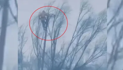 Pamje të frikshme/ Era i rrezikon jetën elektriçistit në një lartësi 15 metra