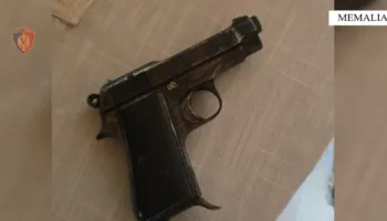 Parandalohet krimi në Tepelenë! Burri dhunon dhe kërcënon me armë gruan, arrestohet 53-vjeçari