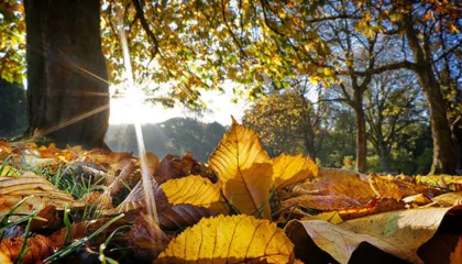 Parashikimi i motit për sot, 18 Janar 2026