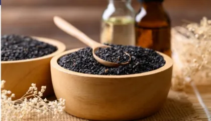 Përfitimet dhe disavantazhet e konsumimit të farave të susamit të zi, të cilat janë diskutuar pak