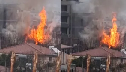 Përfshihen nga flakët dy banesa në Elbasan, ja si nisi zjarri (VIDEO)