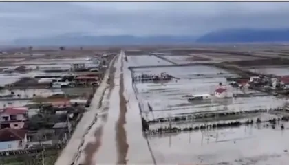 Përmbytjet/ 3100 ha tokë nën ujë në Lezhë