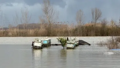 Përmbytjet në Kurbin, sistemi kullues ende me probleme/ Kapaciteti i hidrovorit nuk e përballon nivelin e prurjeve