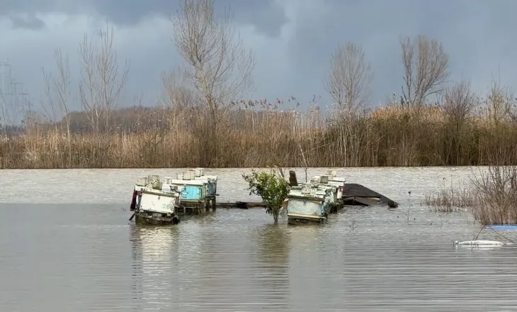 Përmbytjet në Kurbin, sistemi kullues ende me probleme/ Kapaciteti i hidrovorit nuk e përballon nivelin e prurjeve