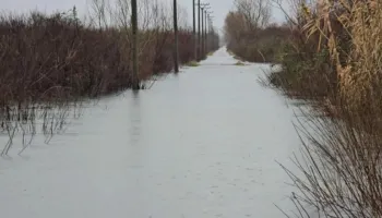 Përmbytjet në Shkodër/ 760 hektarë të përmbytura, bie niveli i ujit në Obot