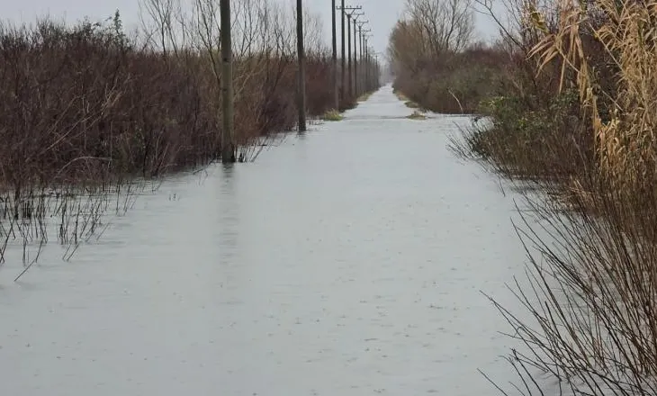 Përmbytjet në Shkodër/ 760 hektarë të përmbytura, bie niveli i ujit në Obot