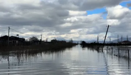 Përmbytjet në vend, reagon Ministria e Mbrojtjes: Ja cilat janë qarqet që rrezikojnë më shumë