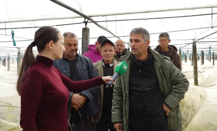 Përmbytjet shkatërrojnë serat, fermerët në Fier kërkojnë dëmshpërblim për dëmet që shkaktoi lumi Seman