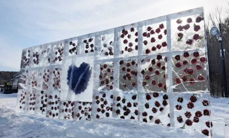 Përrallë dimri, trëndafilat ‘lulëzojnë’ në akull