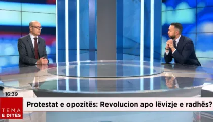 Petro Koçi: Berisha dhe Lapaj kanë sjellje gangsterësh