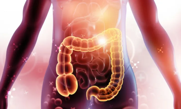 Pija më e mirë për shëndetin e zorrëve, sipas gastroenterologëve