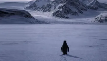 “Pinguini Nihilist” po pushton internetin, gjithçka që duhet të dini rreth meme-s më virale të 2026-ës