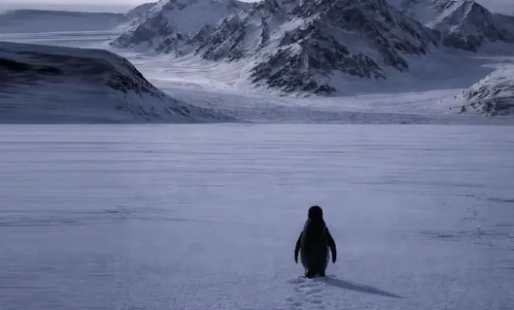 “Pinguini Nihilist” po pushton internetin, gjithçka që duhet të dini rreth meme-s më virale të 2026-ës